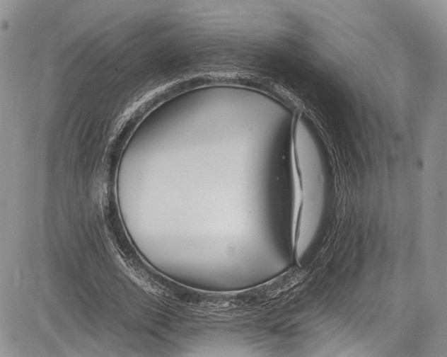 X0000081610728200702051353