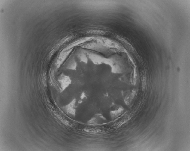 X0000081610729200702051353