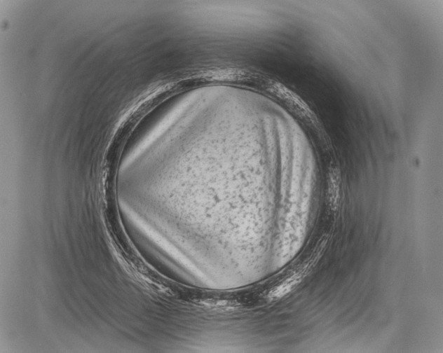 X0000081610730200702051353