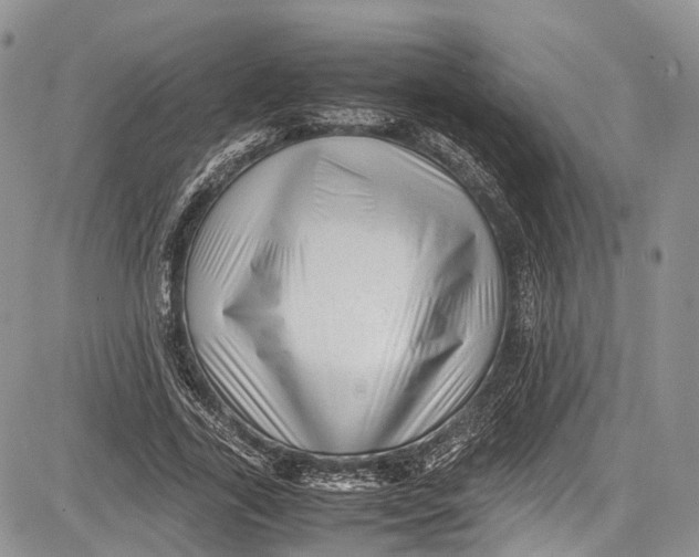 X0000081610731200702051353