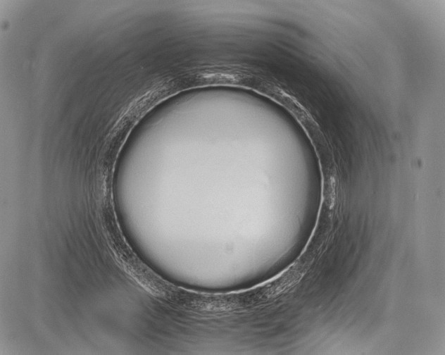 X0000081610733200702051353