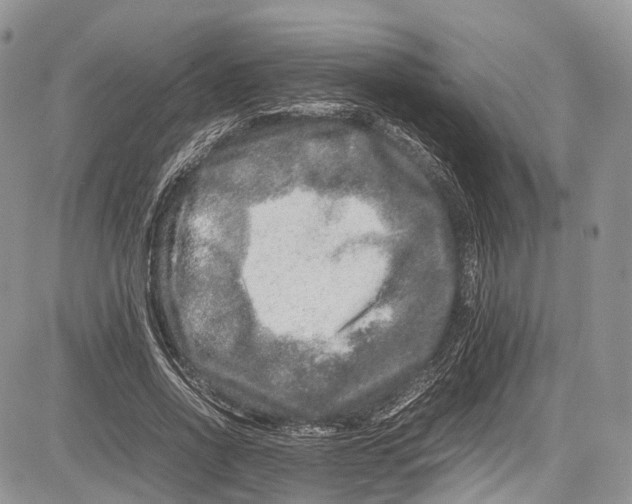 X0000081610734200702051353