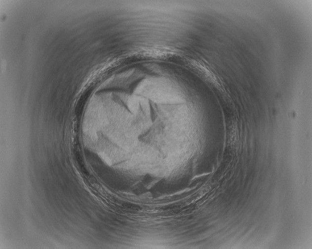 X0000081610736200702051354