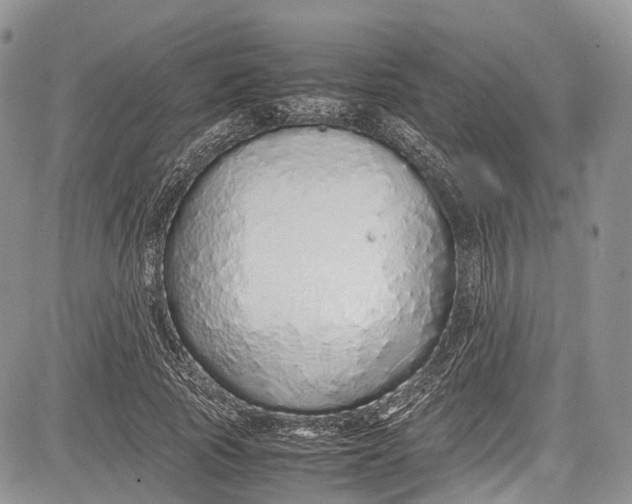 X0000081610737200702051354