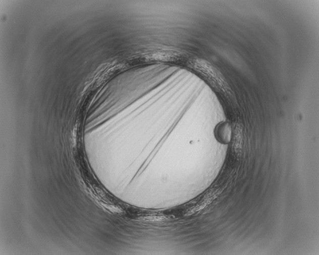 X0000081610738200702051354