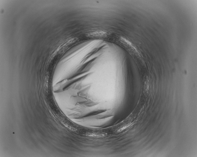 X0000081610739200702051354