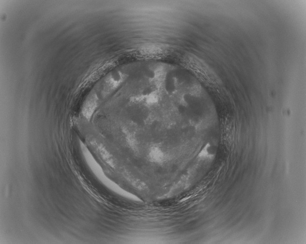 X0000081610742200702051354