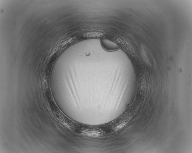 X0000081610743200702051354