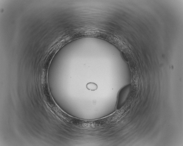 X0000081610744200702051354