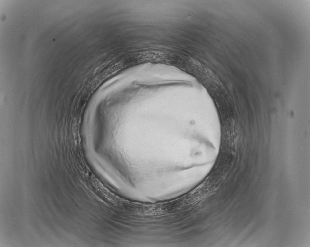 X0000081610745200702051354