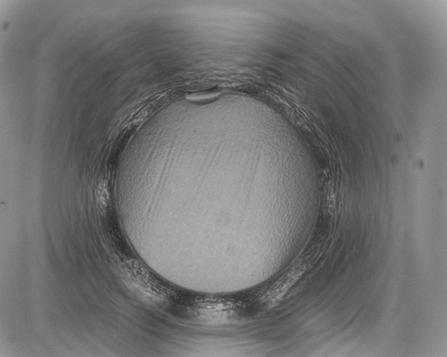 X0000081610746200702051354