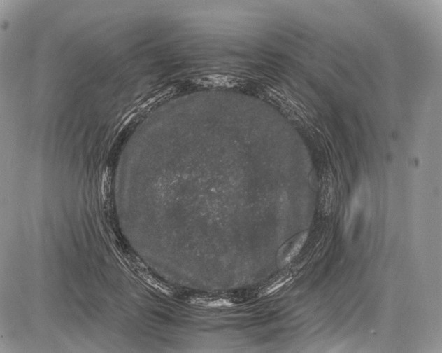 X0000081610747200702051354