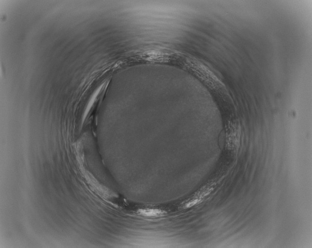 X0000081610748200702051354