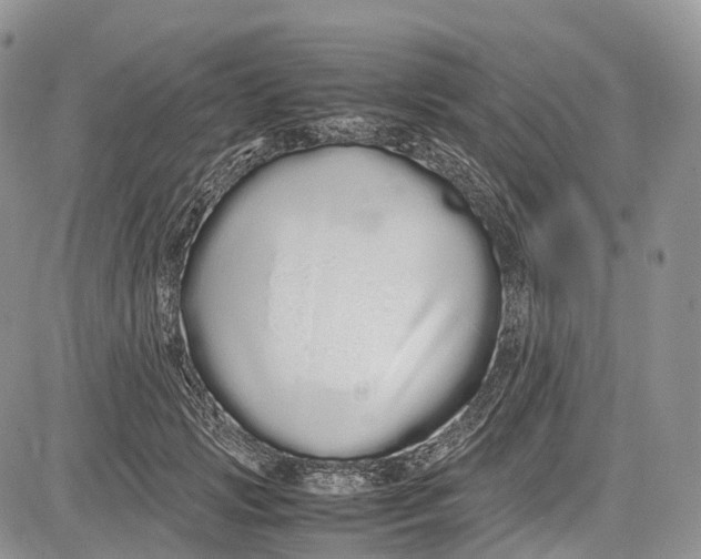 X0000081610749200702051354