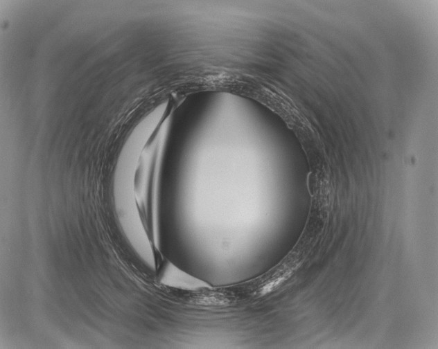 X0000081610750200702051354