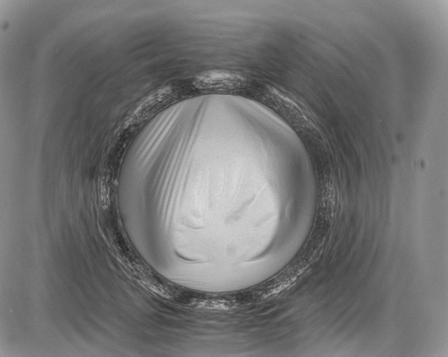 X0000081610751200702051354