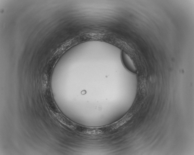 X0000081610752200702051354