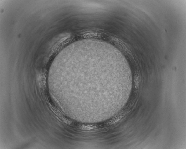 X0000081610753200702051354