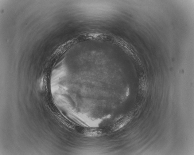 X0000081610754200702051354