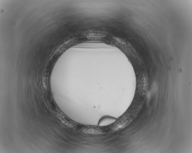 X0000081610755200702051354