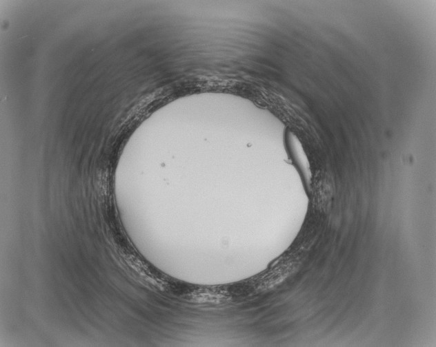 X0000081610756200702051354