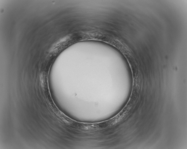 X0000081610757200702051354