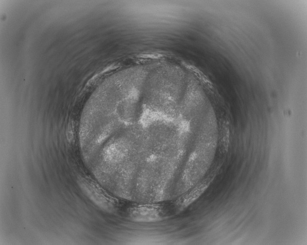 X0000081610758200702051354