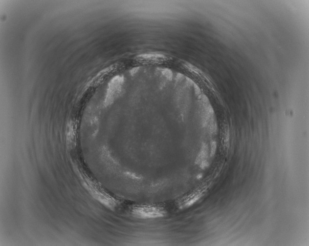 X0000081610759200702051354