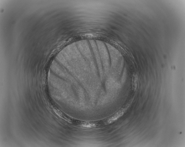 X0000081610760200702051354