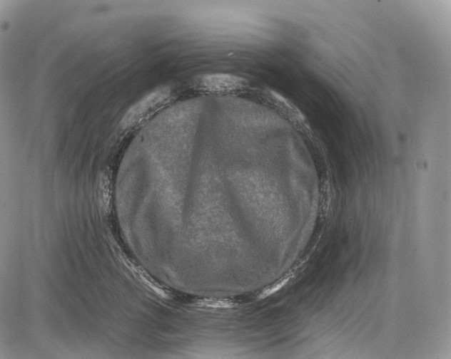 X0000081610762200702051354