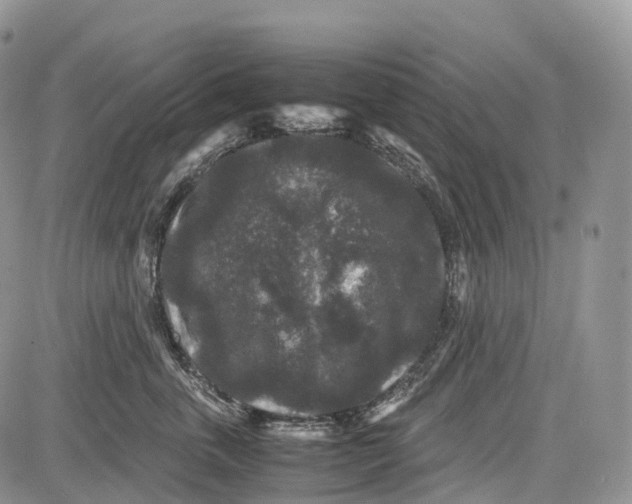 X0000081610763200702051354