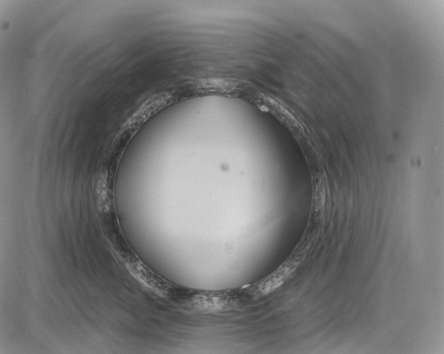 X0000081610764200702051354