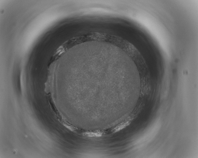 X0000081610765200702051354