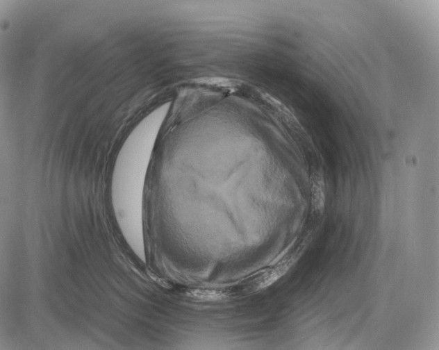 X0000081610766200702051354