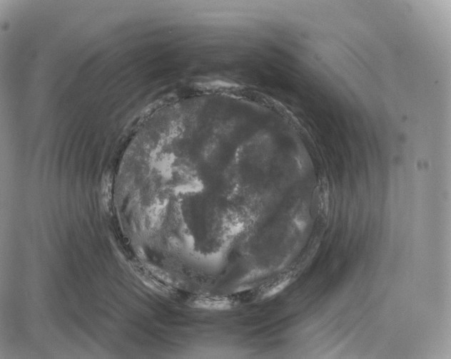 X0000081610767200702051354