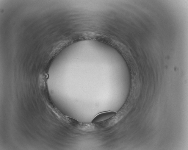 X0000081610768200702051354