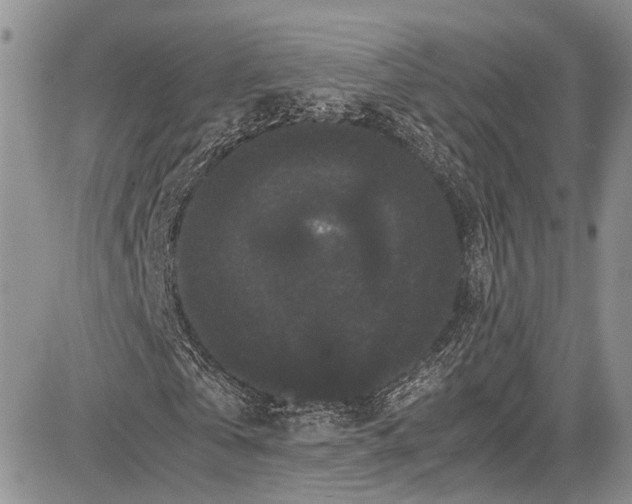 X0000081610769200702051353