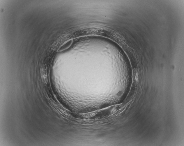 X0000081610771200702051353