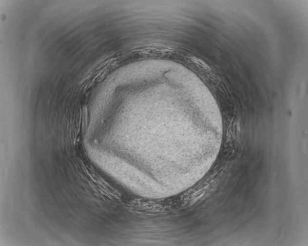 X0000081610774200702051353