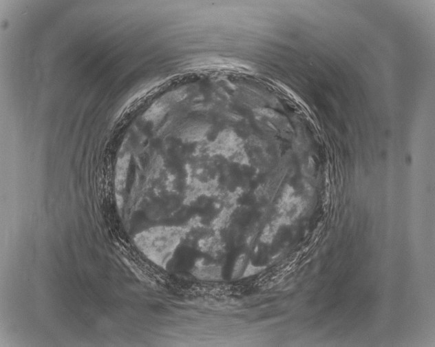 X0000081610775200702051353