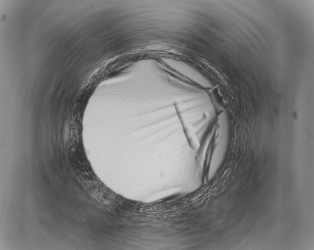 X0000081610776200702051353