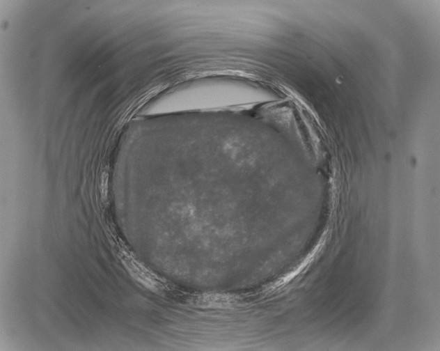 X0000081610777200702051353