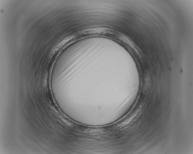 X0000081610778200702051353