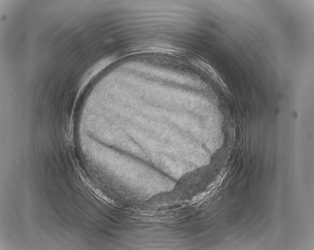 X0000081610780200702051353