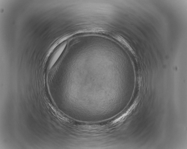 X0000081610781200702051353