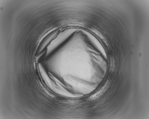 X0000081610782200702051353