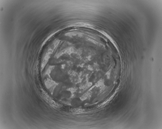 X0000081610783200702051353