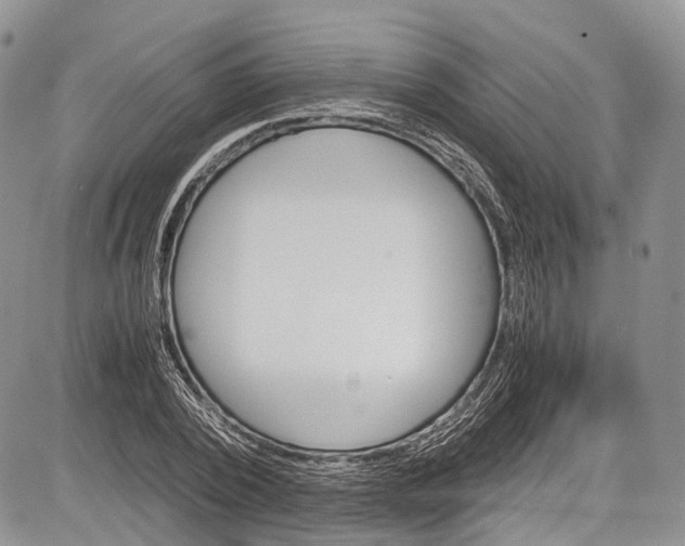 X0000081610784200702051353