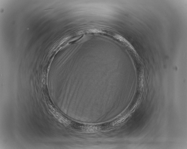 X0000081610785200702051353