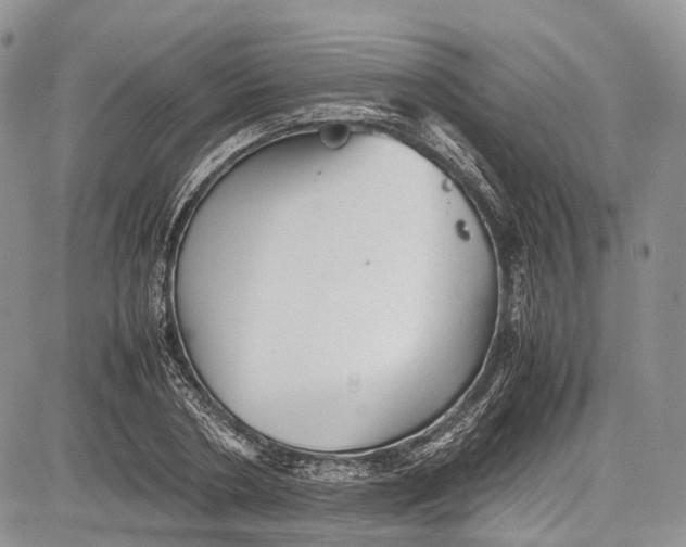 X0000081610786200702051353